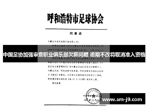 中国足协加强审查职业俱乐部欠薪问题 逾期不改将取消准入资格
