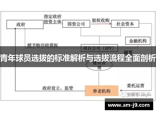 青年球员选拔的标准解析与选拔流程全面剖析 青年球员选拔的标准解析与选拔流程全面剖析
