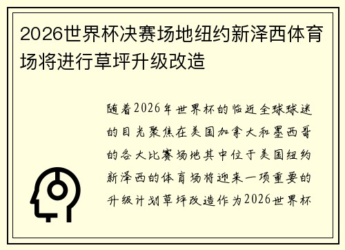 2026世界杯决赛场地纽约新泽西体育场将进行草坪升级改造