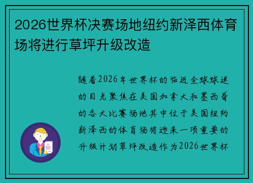 2026世界杯决赛场地纽约新泽西体育场将进行草坪升级改造